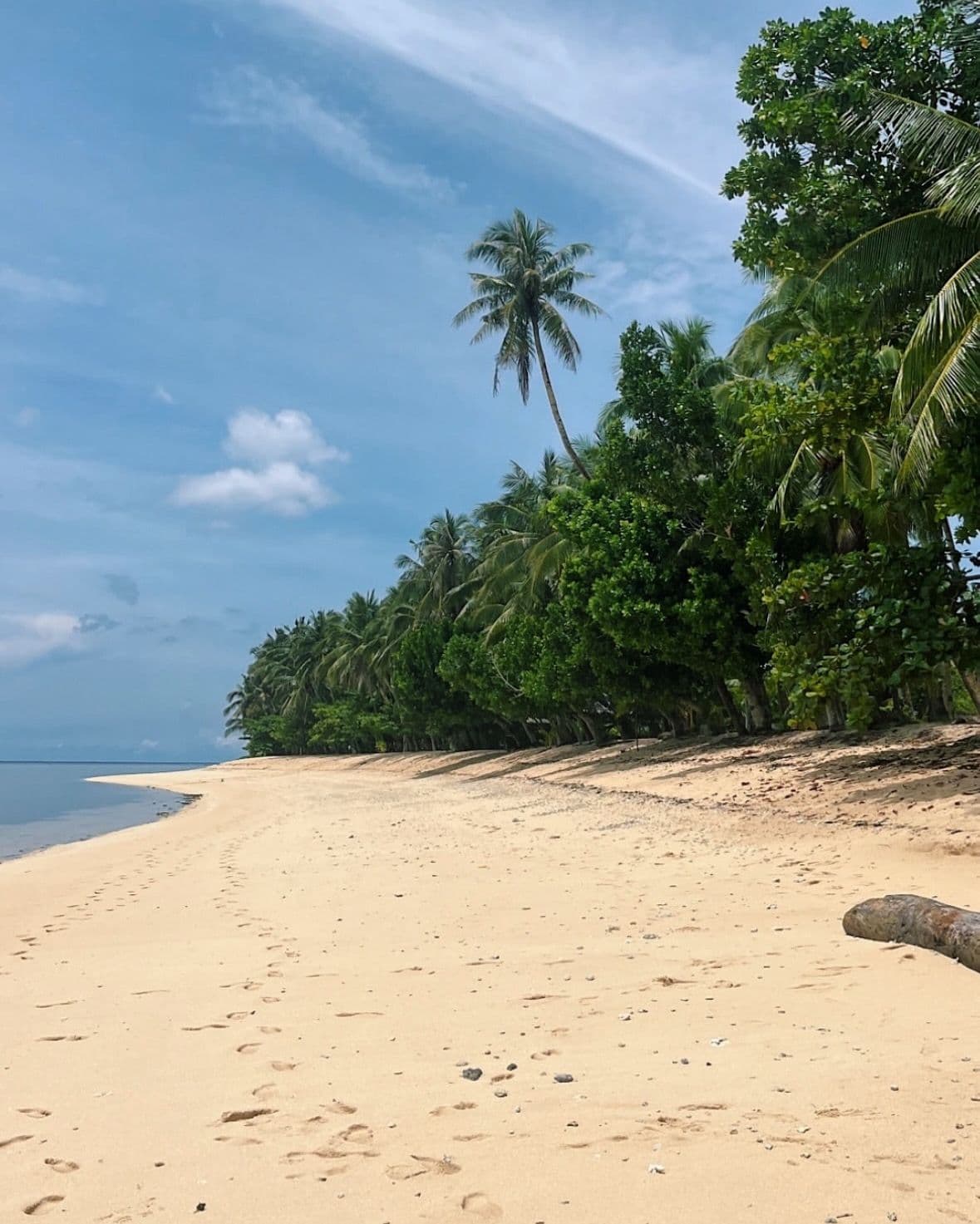 Para info y reservas: