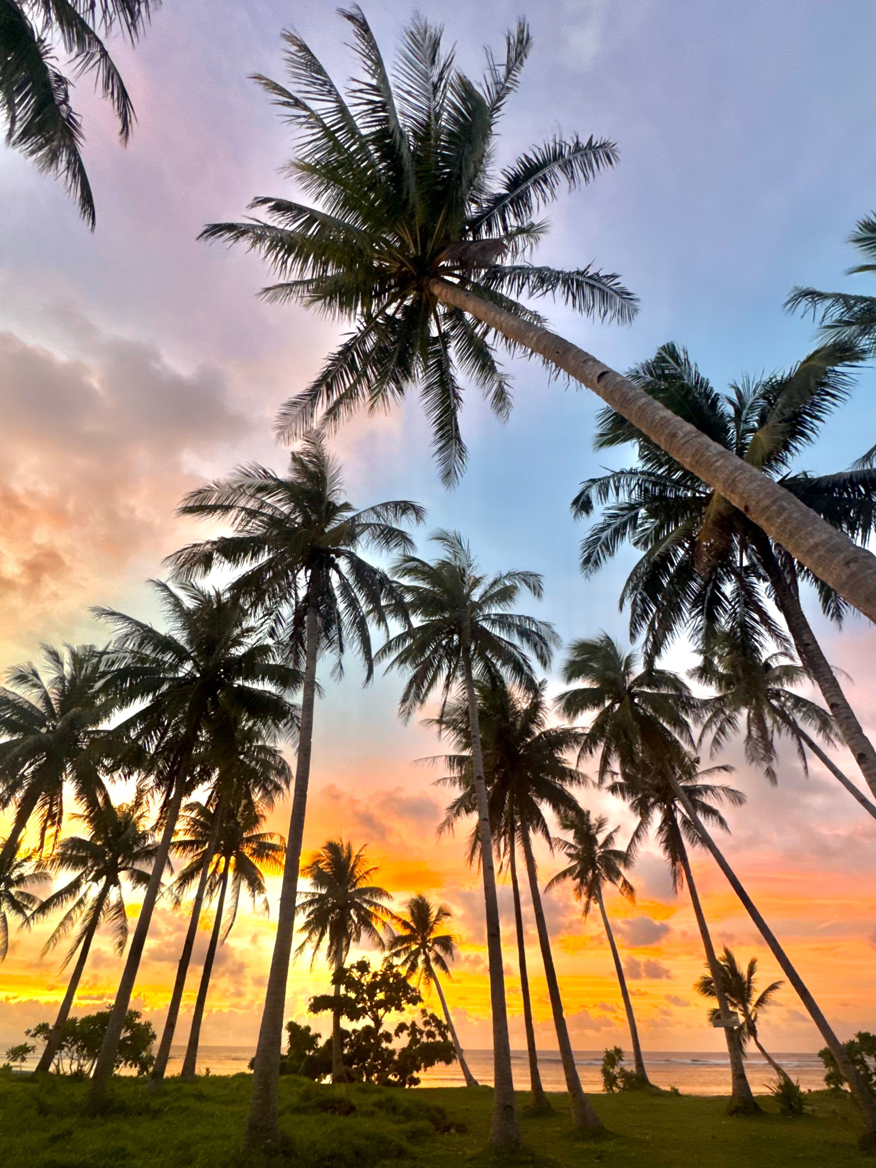 ¿Lista para el viaje de tu vida?